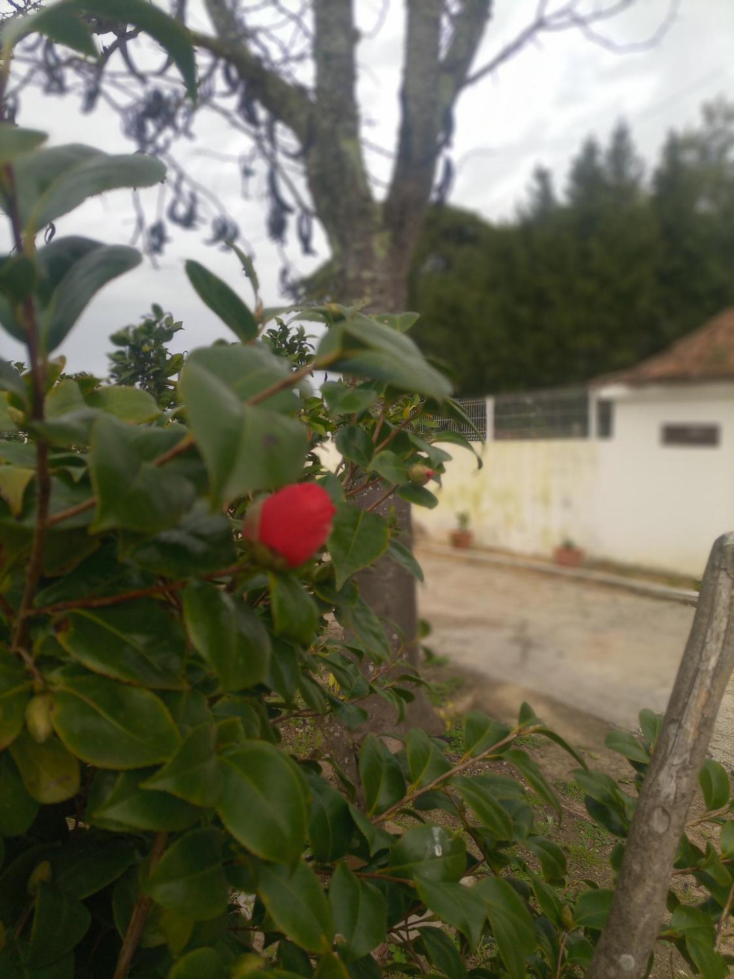 O Mundo Da Lua Villa Азейтау Екстериор снимка