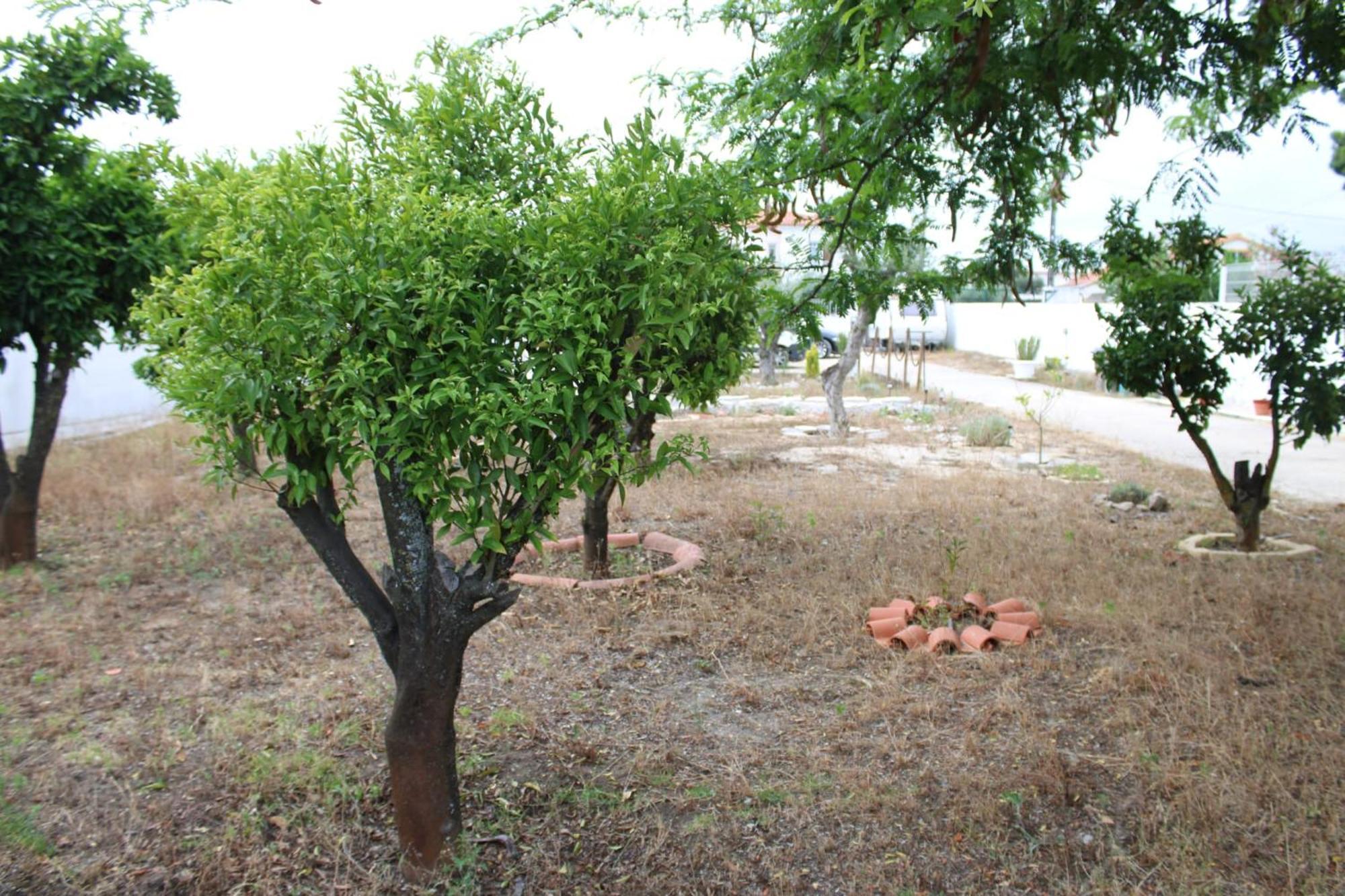 O Mundo Da Lua Villa Азейтау Екстериор снимка